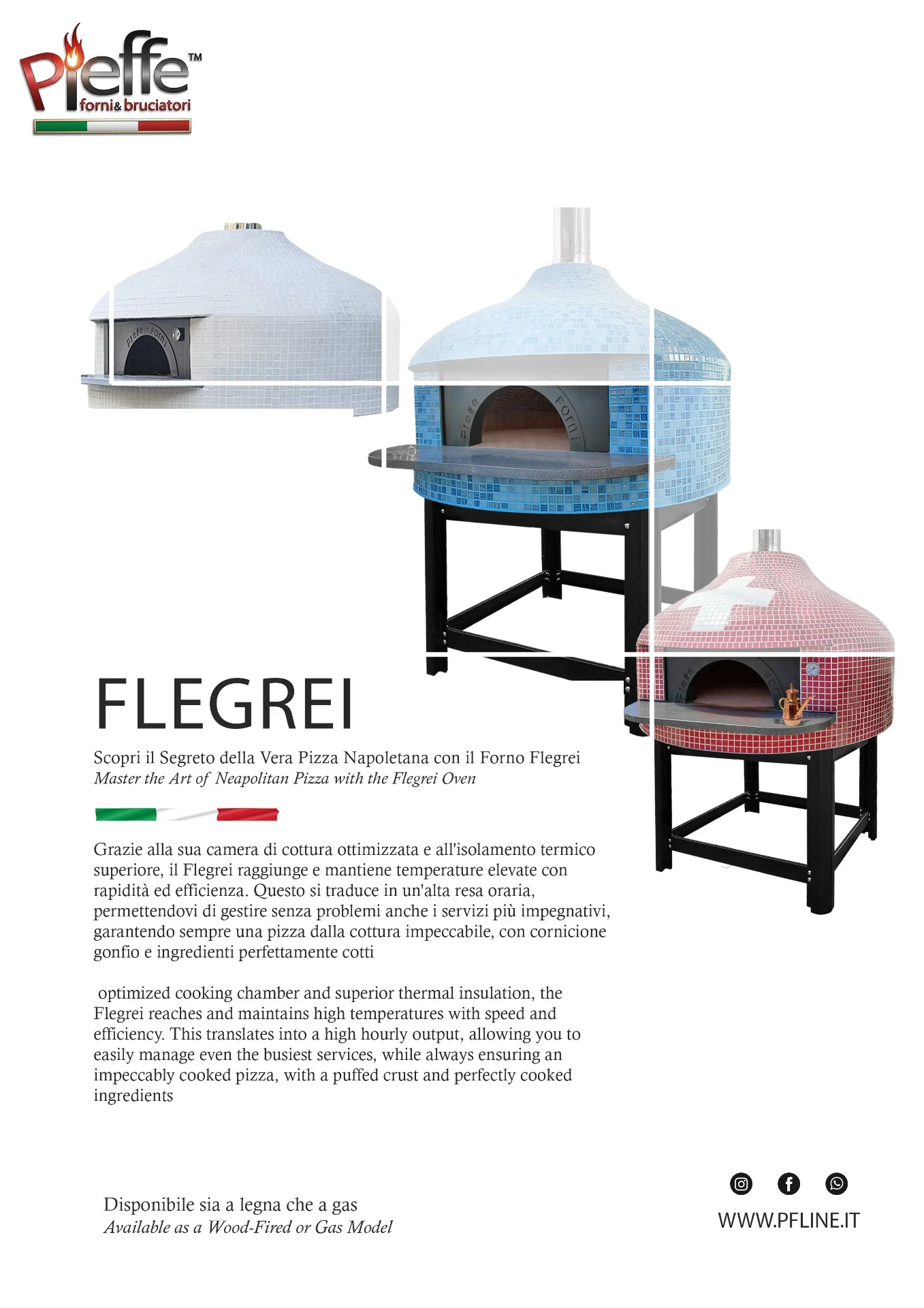 new catalogo flegrei
